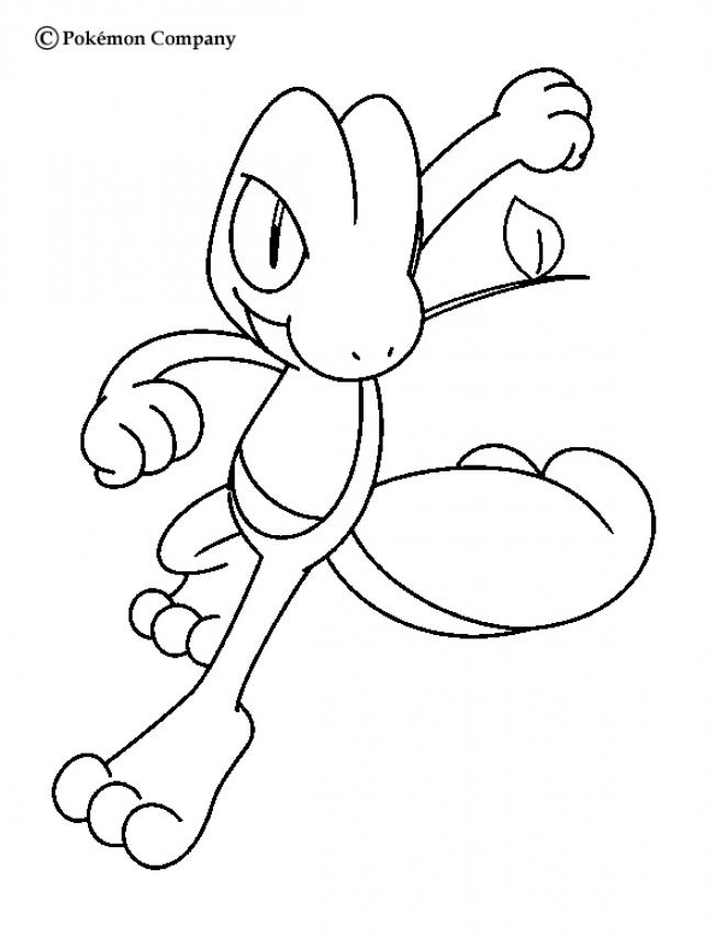 Desenhos para colorir de pokémon torchic 