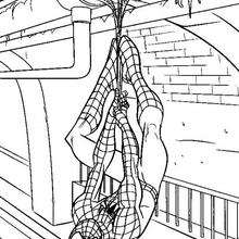 Homem-Aranha pendurado com a cabeça pra baixo