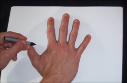 Como desenhar um Galo com sua mão