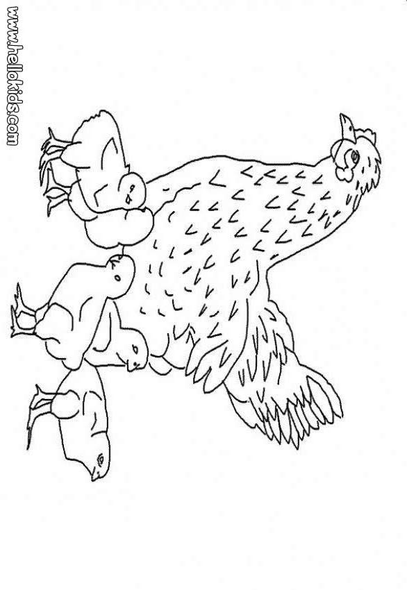 Desenhos para colorir de desenho de uma galinha com um galo para colorir  
