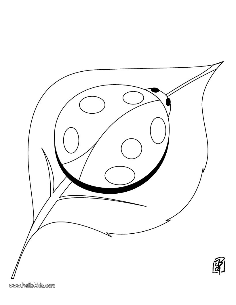 Ladybug fofinha para colorir - Imprimir Desenhos