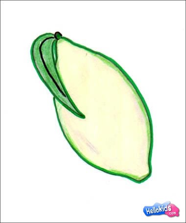 Como desenhar um Limão