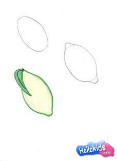 Como desenhar um Limão