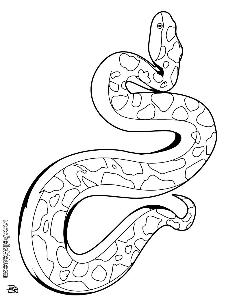 Desenhos para colorir de desenho de uma cobra coral colorir online  