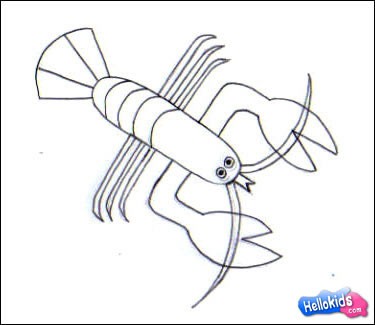 Como desenhar uma lagosta