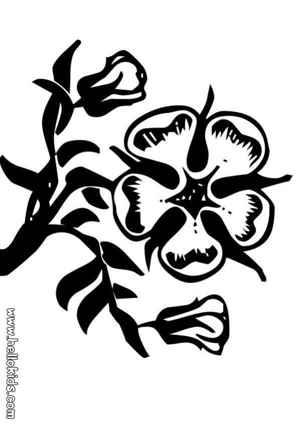 desenhos para colorir de desenho de um vaso com flores para colorir
