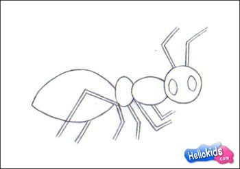 Como desenhar uma formiga