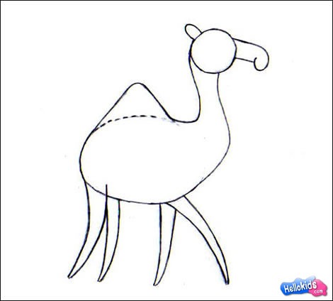 Como desenhar um camelo
