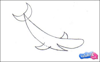 Como desenhar um tubarão