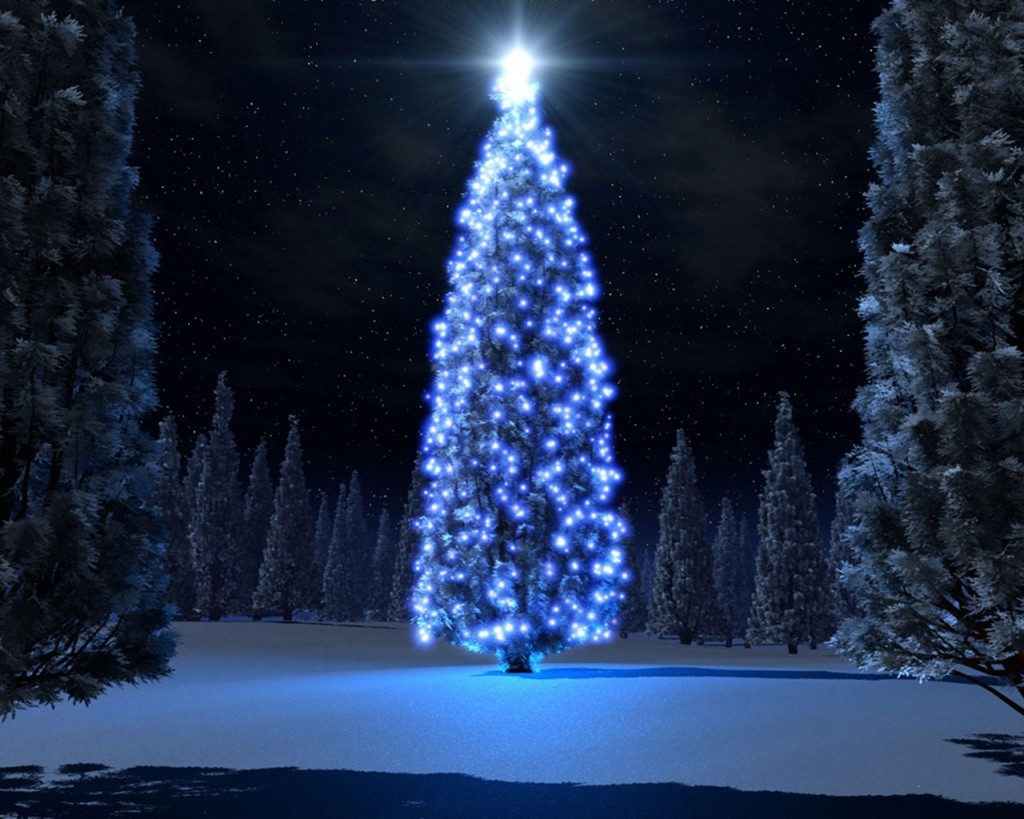 Árvore de Natal é um símbolo pagão? Um cristão pode fazer?