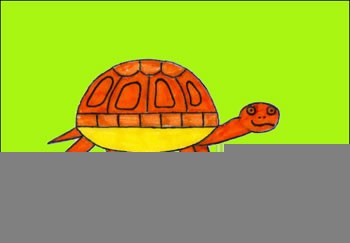 Como desenhar uma tartaruga