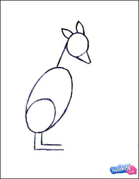 Como desenhar um Canguru