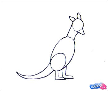Como desenhar um Canguru