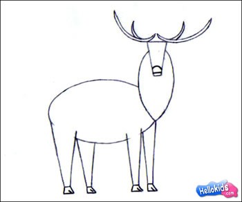 Como desenhar um veado Uapiti