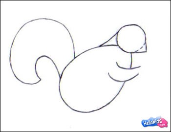 Como desenhar um xerus