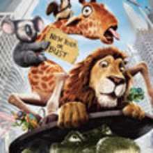 Livro de colorir Selvagem