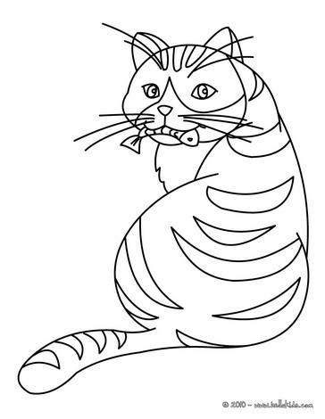 Desenho Gato on Desenho De Um Gatinho Comendo Um Peixe Para Colorir   Desenhos De