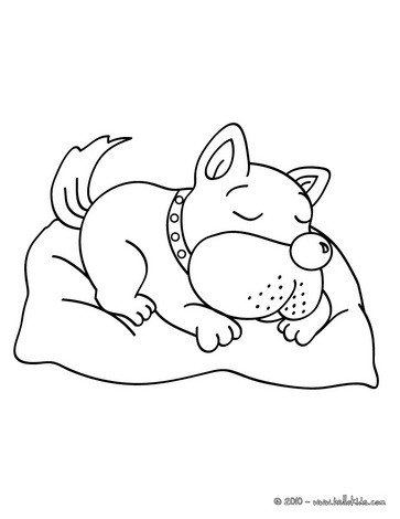 Desenho Cachorro on Desenho De Um C  O Dormindo Para Colorir