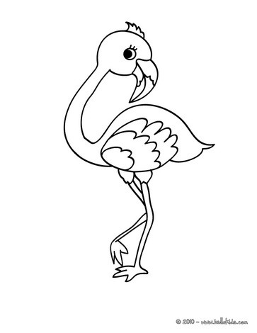 Páginas para colorir do flamingo para crianças