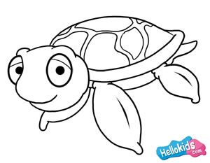 Como desenhar uma tartaruga marinha