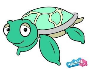 Como desenhar uma tartaruga marinha