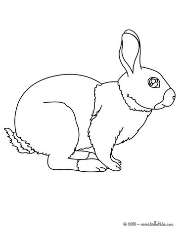 Desenhos para colorir de desenho de um coelho para colorir online  