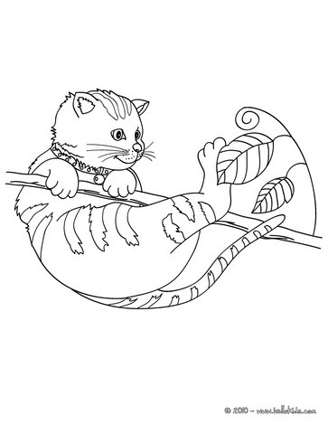 Desenhos para colorir de desenho de um gato em cima de uma árvore para  colorir 