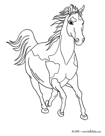 Cavalos - Desenhos Para Colorir