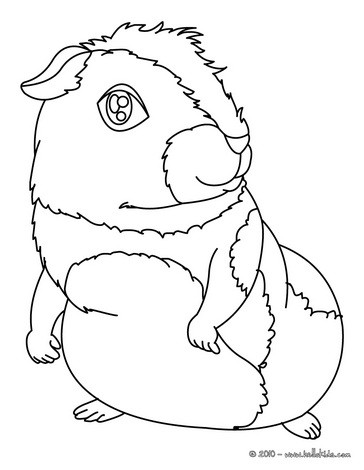 Desenhos para colorir de desenho de um porquinho-da-Índia para colorir  online 