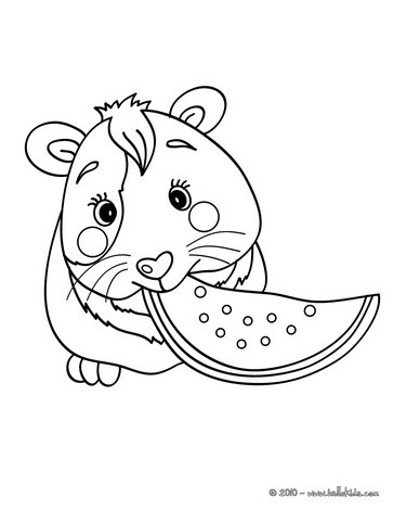 Desenhos para colorir de desenho de um porquinho-da-Índia para colorir  online 
