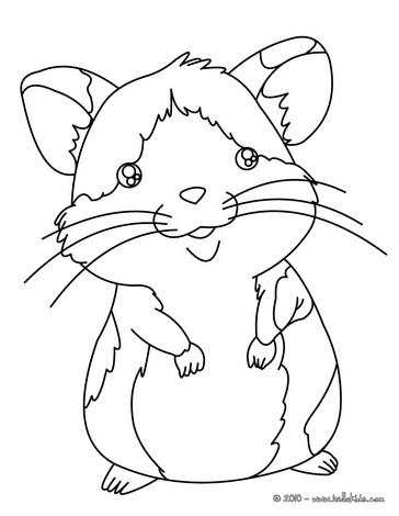 Featured image of post Desenho Hamster Para Colorir S o jogos ideais para se utilizar em uma escola infantil como complemente s atividades educativas e a brinquedos infantis