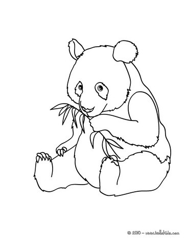 Desenhos para colorir de desenho de um panda para colorir -pt