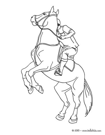 Cavalo  O Real Desenho