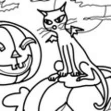 Desenhos de GATOS PRETOS para colorir