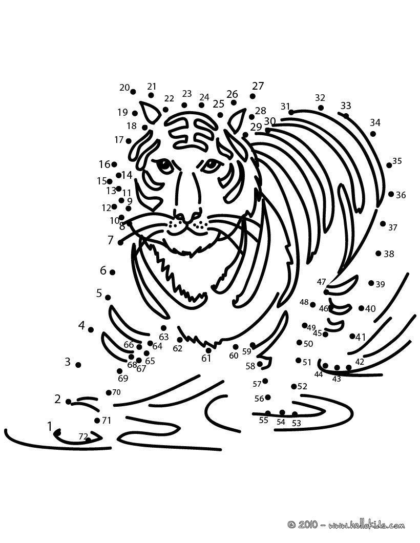 Jogo de ligar os pontos - TIGRE