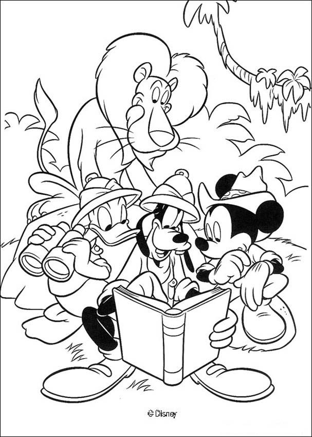 safari hat coloring pages for kids - photo #14