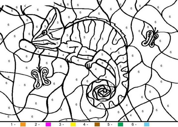 Desenhos para colorir de colorindo o camaleão pelos números  