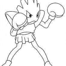 Hitmonchan, o pokémon