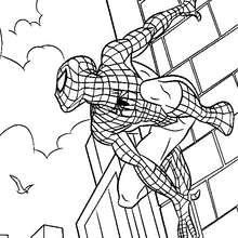 homem Aranha para crianças quatro adorável vetor linha arte personagens,  colorir página 23896073 Vetor no Vecteezy