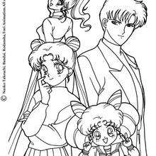 Sailor Moon, Sailor Chibi Moon e companhia