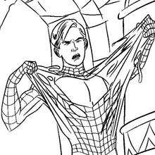 Desenhos do HOMEM-ARANHA para colorir - Desenhos para colorir - Imprima  desenhos para colorir 