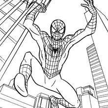 Desenho gratuito do Homem-Aranha para imprimir e colorir - Spiderman - Just  Color Crianças : Páginas para colorir para crianças