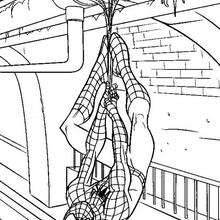 Pintar Homem Aranha Desenho - Desenho para Colorir