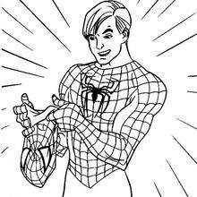 Desenhos do HOMEM-ARANHA para colorir - Desenhos para colorir - Imprima  desenhos para colorir 