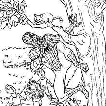 Desenhos do HOMEM-ARANHA para colorir - Desenhos para colorir