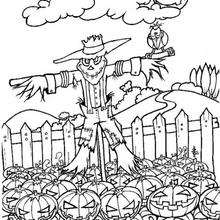 Desenhos de abóboras de Halloween para imprimir no Jogos Online Wx   Halloween para colorir, Desenhos do dia das bruxas, Abóbora halloween  desenho