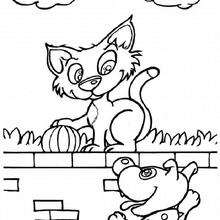 Desenho de um Gato no muro para colorir