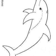 Imagem de um golfinho para colorir