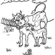 Desenho de uma Vaca com seu bezerro para colorir