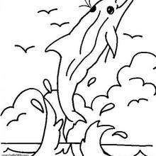 Desenho de um golfinho pulando para colorir